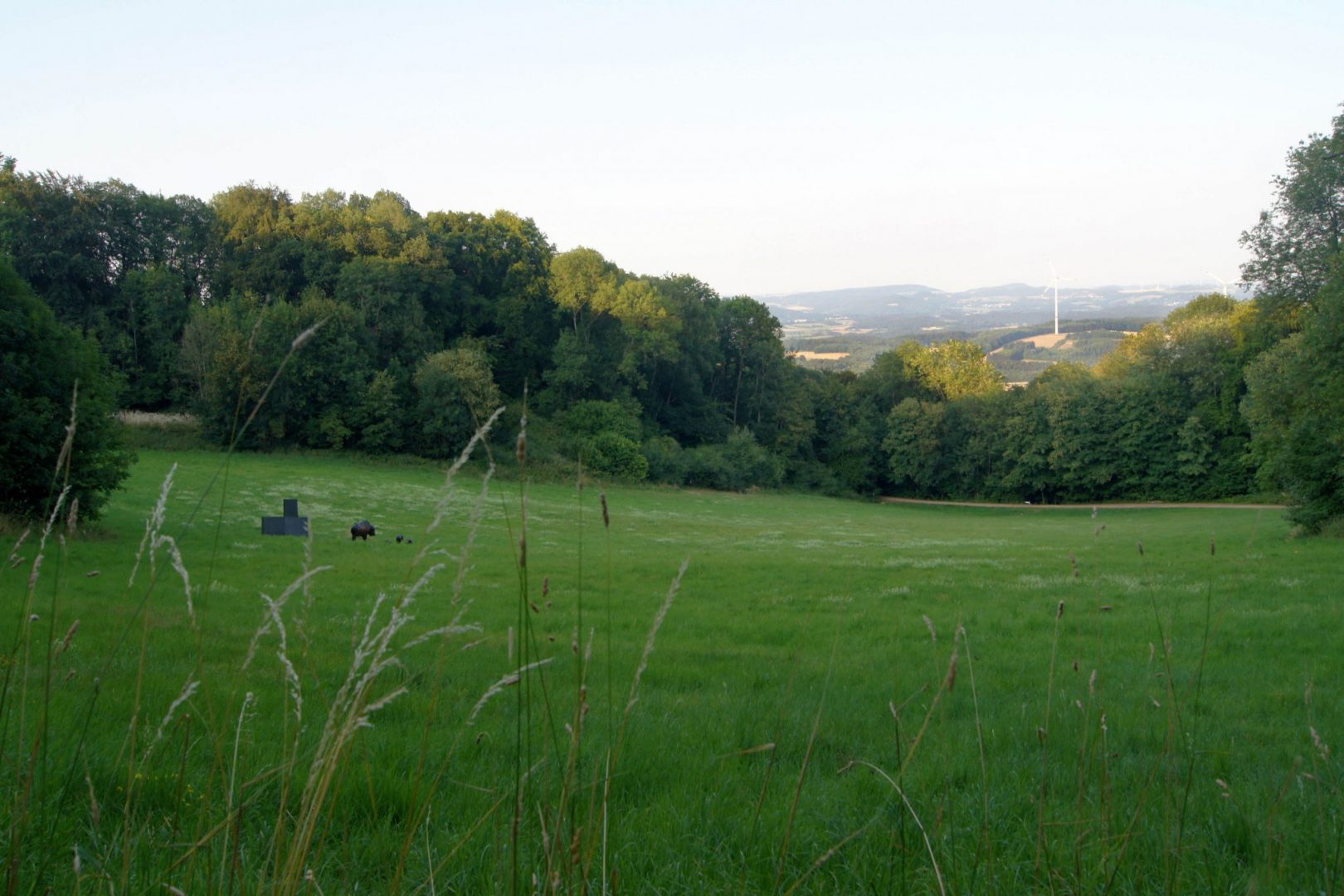 DSC03300_01